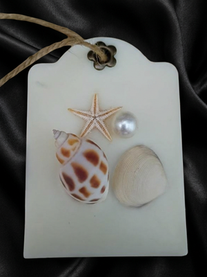wax sachet beachy